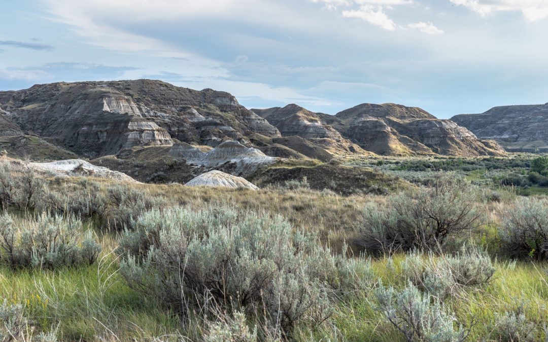 Erosion and Sediment Control Plans