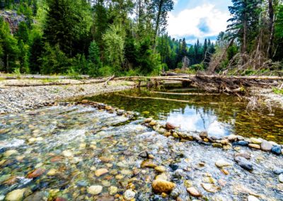 Fish Salvage and Water Quality Monitoring