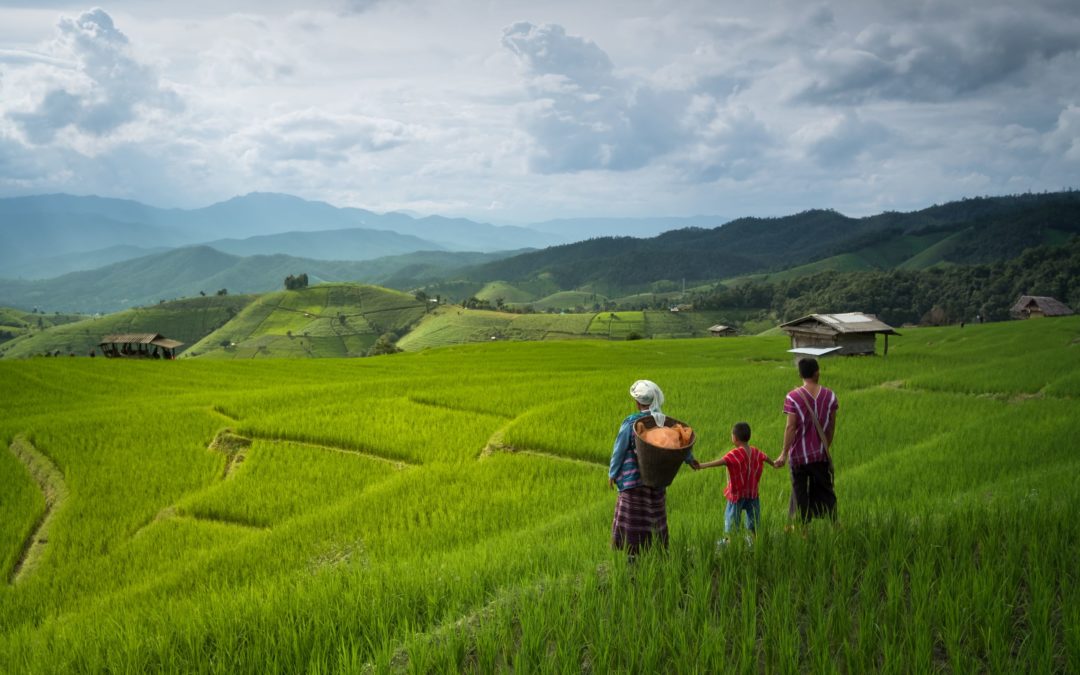 Sustainable Agriculture Field Program Chiang Mai