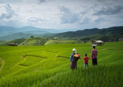 Sustainable Agriculture Field Program Chiang Mai