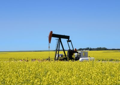 Critical Sour Gas Well Public Consultation and Rover