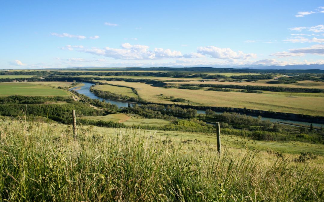 Southern Alberta Water Conservation Strategies Public Consultation