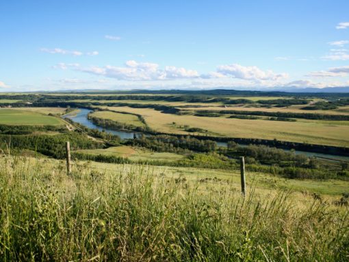 Southern Alberta Water Conservation Strategies Public Consultation